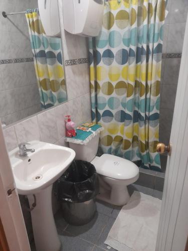 维纳德马Hostal batuco的一间带水槽、卫生间和淋浴的浴室