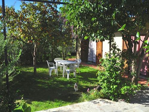 阿夏诺Chic Farmhouse in Asciano Italy with Swimming Pool的院子里的桌子和椅子,草地上有一只猫