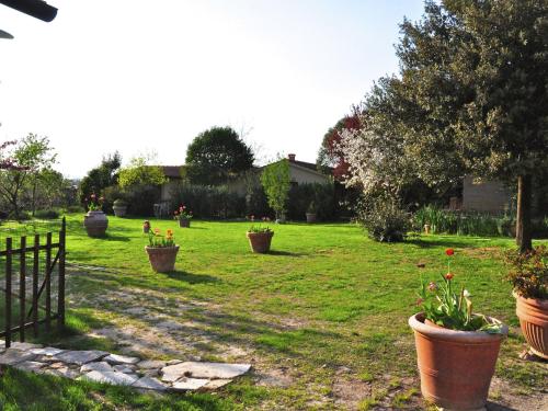 阿夏诺Chic Farmhouse in Asciano Italy with Swimming Pool的草上栽有盆栽的院子