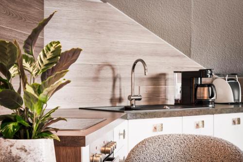 维林根鲁克斯雪绒花小公寓的厨房配有水槽和台面