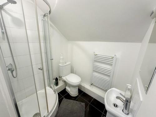 伦敦Lovely 3 bedroom maisonette with private roof terrace in Hammersmith的带淋浴、卫生间和盥洗盆的浴室