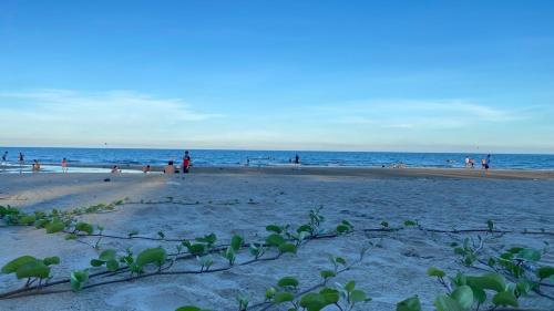 头顿Căn Hộ Ban Công Hướng Biển - FREE HỒ BƠI VÔ CỰC - The Sóng Vũng Tàu的海滩上有很多人