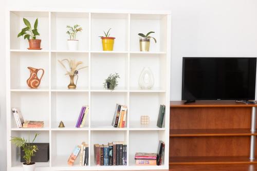 布加勒斯特sharing retro vintage luxury apartment的一个带植物的白色书架和电视