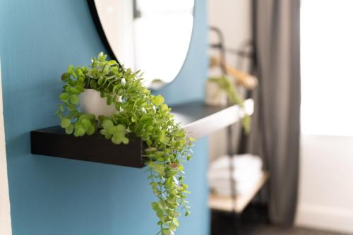 卡迪夫Spacious 4-Bedroom Apt | Sky TV | Pool Table的蓝色墙上的黑木架上的绿色植物