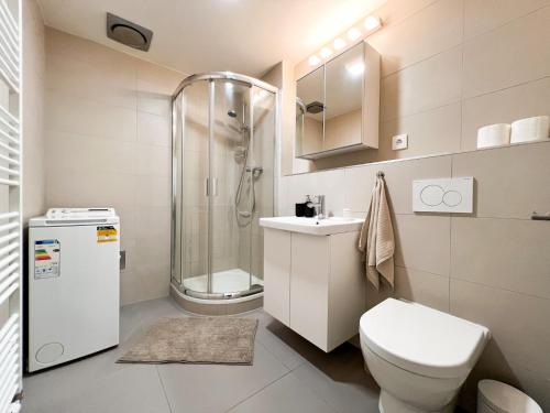 布尔诺Apartmán VLNA的带淋浴、卫生间和盥洗盆的浴室