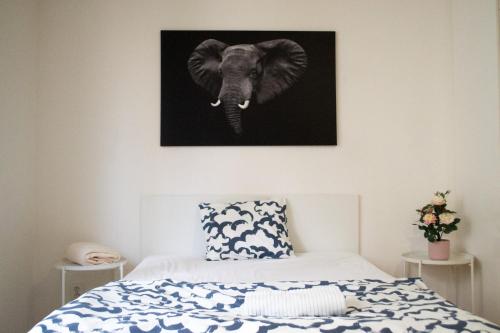 布尔诺Apartmán VLNA的卧室的墙上挂着大象照片
