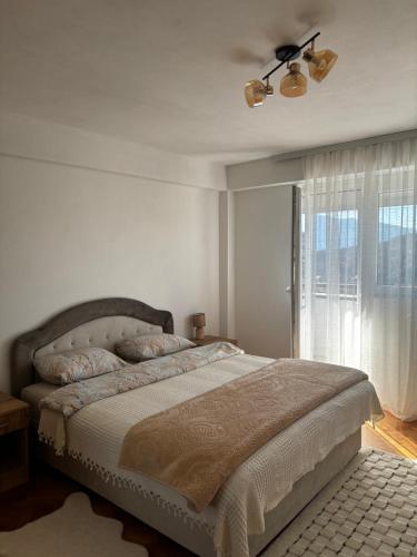 尼克希奇Apartman DBB Nikšić的一间卧室配有一张带吊扇和窗户的床。