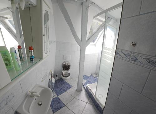 比克克森特凯赖斯特Traumhaftes Ferienhaus im Buchengebirge的带淋浴和卫生间的白色浴室