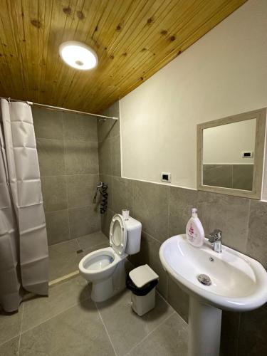 培拉特Hannas Hostel的浴室配有白色卫生间和盥洗盆。