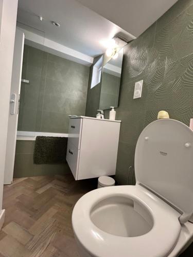 圣马洛La p’tite Hoguette的浴室设有白色卫生间和绿色墙壁。