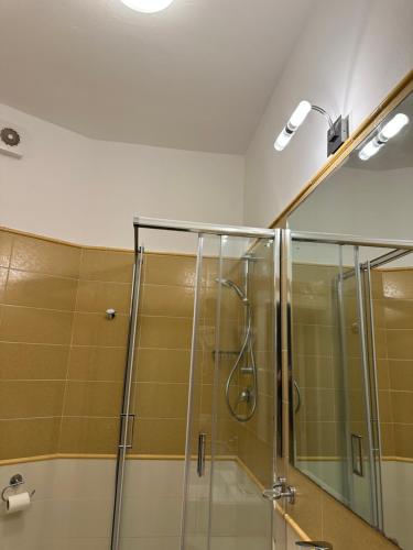 米兰马瑞提那HOTEL LUX B&B MIMA的带淋浴的浴室和玻璃门