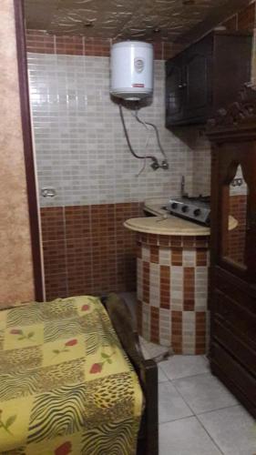 亚历山大ستوديو的一个带柜台和水槽的厨房