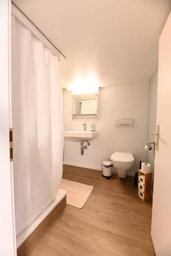 图芬Alter Zoll的浴室配有白色的浴帘和卫生间