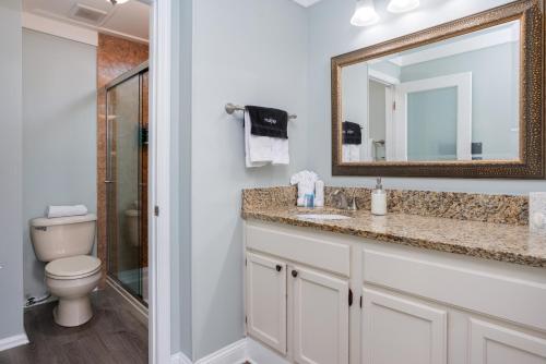 圣奥古斯丁The Saint Augustine Beach House的一间带卫生间、水槽和镜子的浴室
