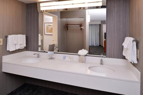 加斯托尼亚夏洛特加斯托尼亚万怡酒店的一间带两个盥洗盆和大镜子的浴室