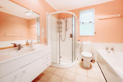 图朗伊Alpine House Tongariro - Turangi Holiday Home的带淋浴、卫生间和盥洗盆的浴室