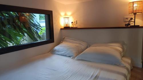 圣保罗Tiny house au lagon的靠窗的带两个枕头的床