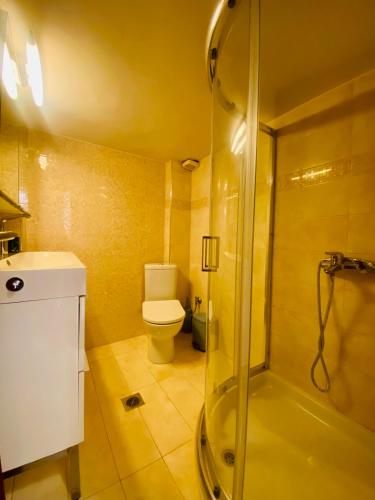 塞萨洛尼基Orion White Tower Apartment的带淋浴、卫生间和盥洗盆的浴室