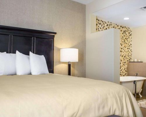皮奥里亚布鲁格林西勃拉威塔斯艾森德温泉度假酒店的酒店客房设有一张大床和一盏灯。