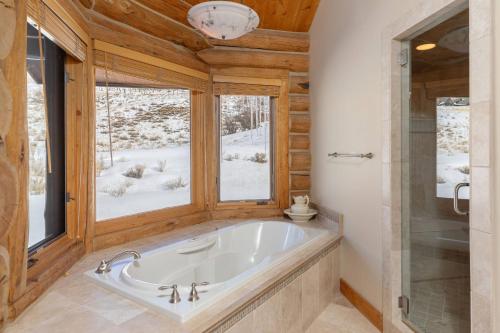 特柳赖德Elk View Lodge的带浴缸的浴室和窗户