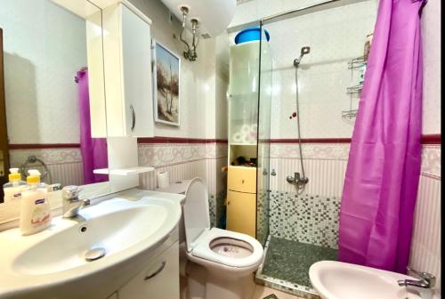 地拉那Blloku Apartment的一间带水槽、卫生间和淋浴的浴室