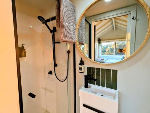 MetcalfeKyneton Tiny House - Tiny Stays的带淋浴、盥洗盆和镜子的浴室