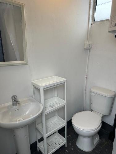 普琼卡维Domos Maitencillo的白色的浴室设有卫生间和水槽。