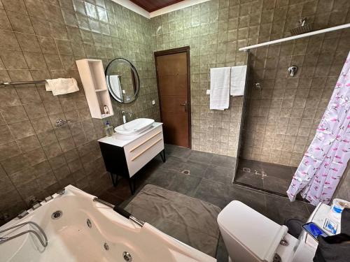 亚的斯亚贝巴Kebena spacious room with private jacuzzi and walk in closet的带浴缸、盥洗盆和卫生间的浴室