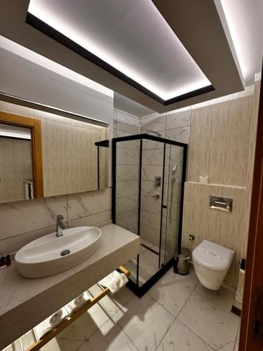 安卡拉KT SUİTE的一间带水槽和卫生间的浴室