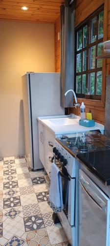 弗洛里亚诺波利斯Tiny House Novas Palmeiras的厨房配有水槽和炉灶 顶部烤箱