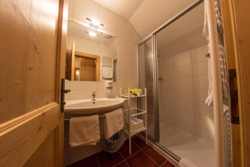 巴德小基希海姆Appartments Bergland的一间带水槽和淋浴的浴室