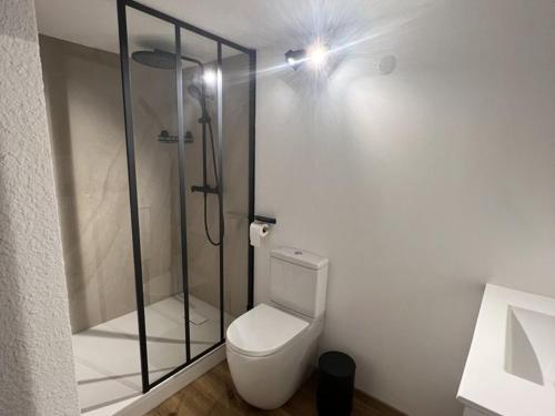布科·莱斯白老城Appartement Vieux-Boucau-les-Bains, 2 pièces, 6 personnes - FR-1-379-16的带淋浴的浴室以及带玻璃门的卫生间。