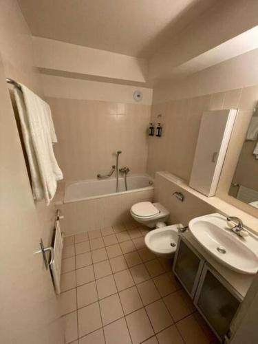 日内瓦ONU - PALEXPO-AEROPORT Genève的浴室配有盥洗盆、卫生间和浴缸。