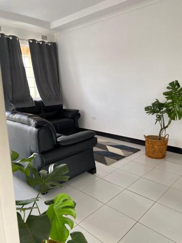利隆圭Queen City Homes的客厅配有两张黑色沙发和植物