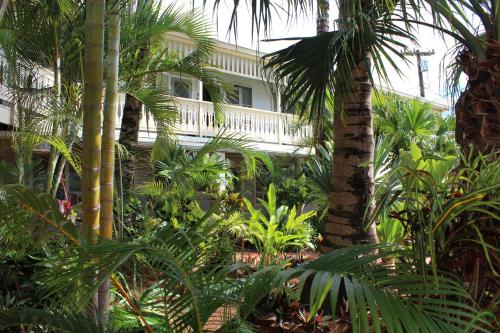 利胡埃卡维棕榈酒店的前面有棕榈树的房子
