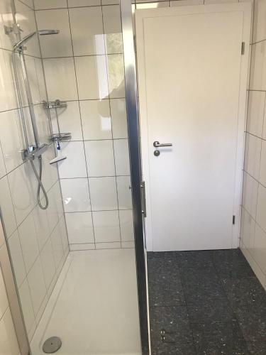 多特蒙德Wohnung in Dortmund Nähe Phönix See的带淋浴的浴室和玻璃门