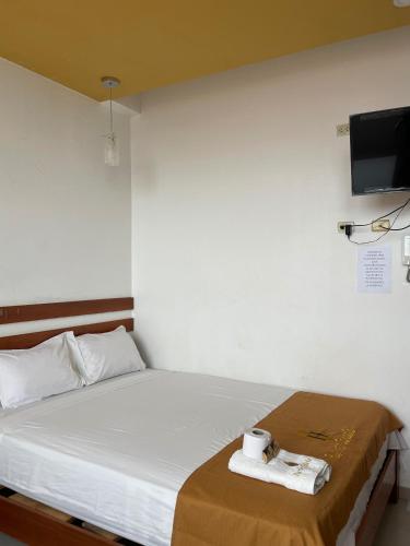 马尔多纳多港Puerto candela的一间卧室配有一张带毛巾的床和一台电视