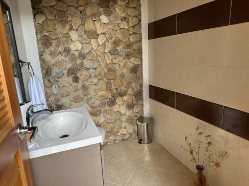 布卡拉曼加Casa Chalet en Lagos del Cacique的一间带水槽和石墙的浴室