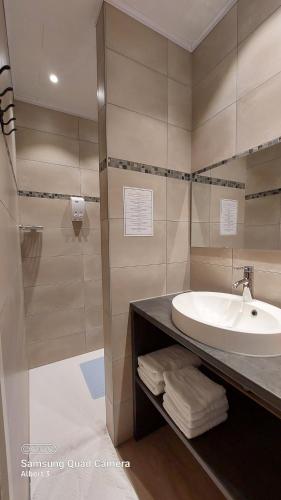 梅赫伦Albert - Rooms的一间带水槽和淋浴的浴室