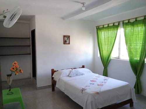 巴亚索拉诺Hostal Adrimar的一间卧室设有床铺和一个带绿色窗帘的窗户。