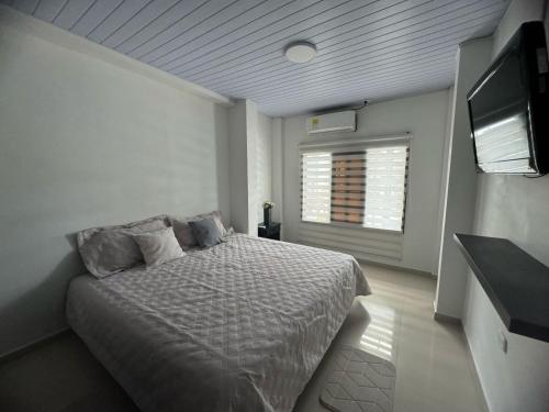 莱蒂西亚Casa En Leticia的一间卧室配有一张床和一台平面电视