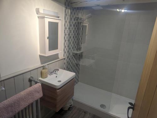 惠特比Whitby Sea View Cottage的白色的浴室设有水槽和淋浴。
