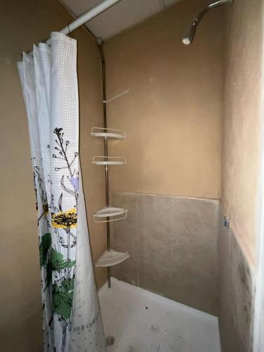 圣萨尔瓦多Apto. mejor zona de San Salvador的浴室内配有淋浴帘。