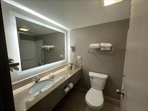 沃基根沃基根红屋顶客栈的一间带水槽、卫生间和镜子的浴室