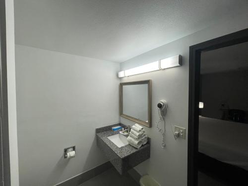 肖尼肖尼戴斯酒店的一间带水槽和镜子的浴室