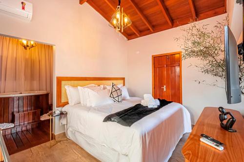皮雷诺波利斯Pousada Vila Rica的卧室配有一张大白色的床和书桌