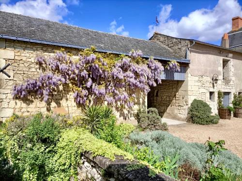 勒皮圣母院The Old Winery, Loire的旁边是一座有紫藤的房子