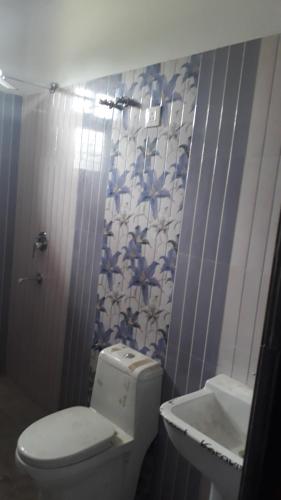 瑞诗凯诗Swastik的一间带卫生间和水槽的小浴室