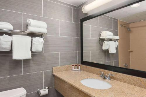 罗歇尔公园帕拉默斯罗歇尔公园华美达酒店的一间带水槽和镜子的浴室