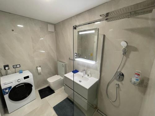 巴拉顿诺尔马迪Luxury Apartments in Balatonalmádi, Almádi Lux Apartman I - Ocean Blue的带淋浴、盥洗盆和洗衣机的浴室